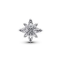 Charm Pandora in Argento Zirconia 793591C01 - 793591C01
